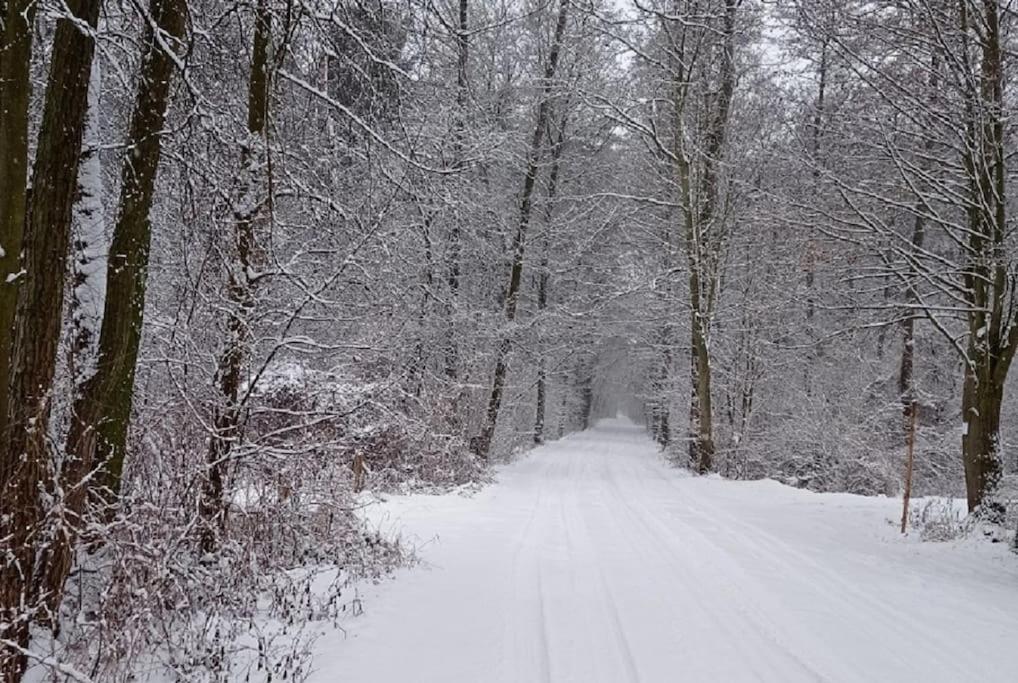 Basiowka Nad Jeziorem Boszkowo Exteriör bild